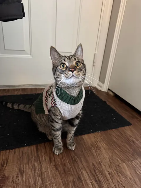 Love these guys. Posted them on here once before but had to share again