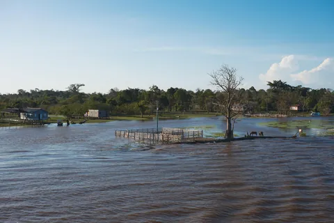 A weeklong ferry on the Amazon River in Brazil