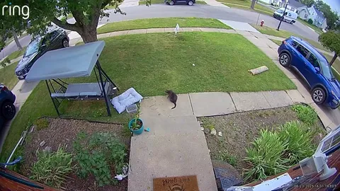 Bruce slutting it up for a new mail carrier