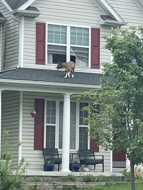 So I was just getting my mail and looked across the street.