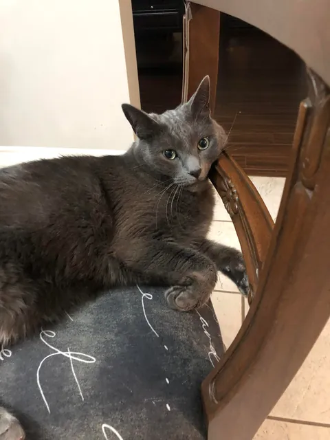 After 12 years he’s gone 💔