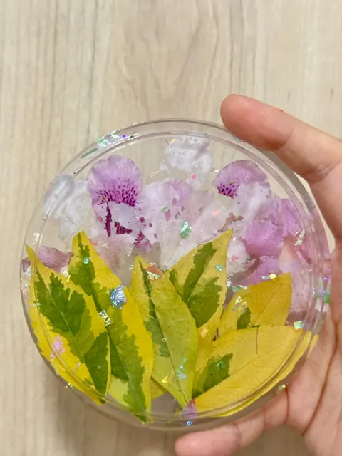 I put a little piece of my backyard into a cup coaster