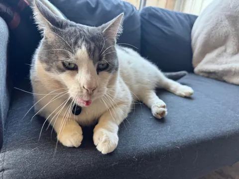 “The internet is gonna love this” - me