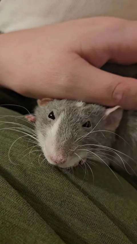 Finally got a boggly girl