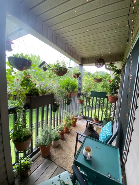 It’s not as nice as some on here, but I love my balcony garden.