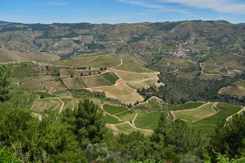 Three weeks in Northern Portugal