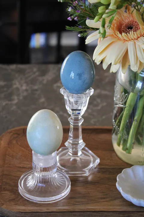 I dyed Easter Eggs using seeds from our cottonwood tree!They always stain our deck blue so I decided to mix them with vinegar and see what happened and it worked!! The best egg was an overnight soak with a little baking soda added too.