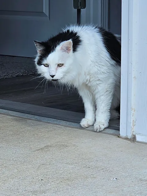 Tomorrow will be Bowies last day. Wish him happy birthday