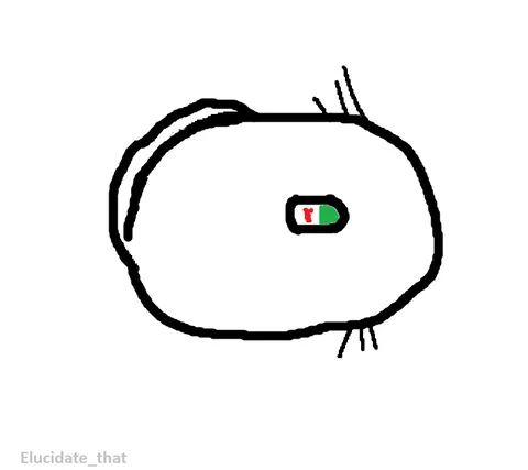 If the election is stressing you out, here are more drawings of some of your goofiest rats