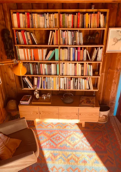 morning sun hitting my wood-paneled home office