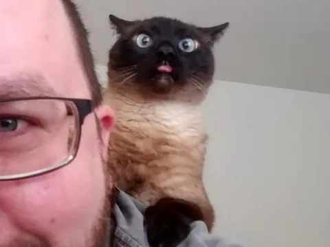 Diablo, 18 years still wasn't enough. I've loved you every day of your life, minus a few weeks at the beginning before we met you. Wait for us, we'll be there before you know it