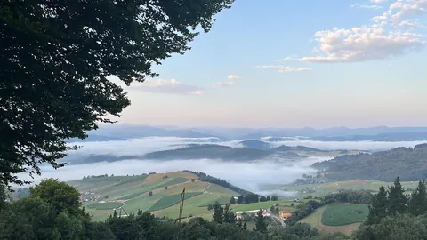 I completed the Camino de Santiago alone in Spain