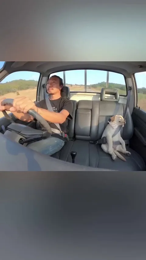 You can find the original creator in instagram @artwood.ig