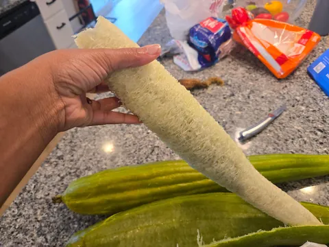 Harvested my first 2 luffas.