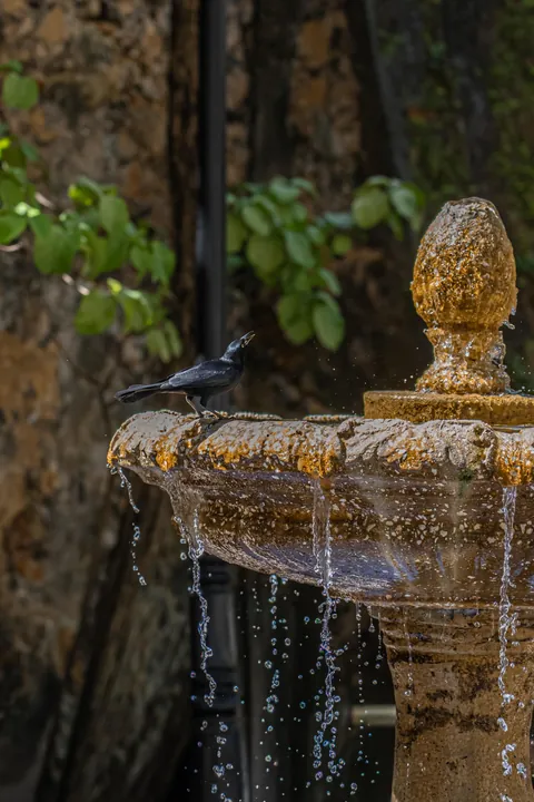 Puerto Rico Highlights from Our Family Trip 🇵🇷