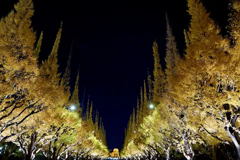 Fall colors in Japan