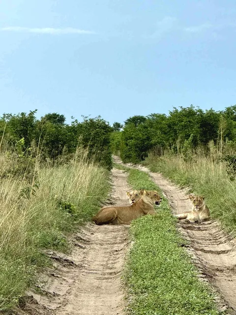 December in Botswana