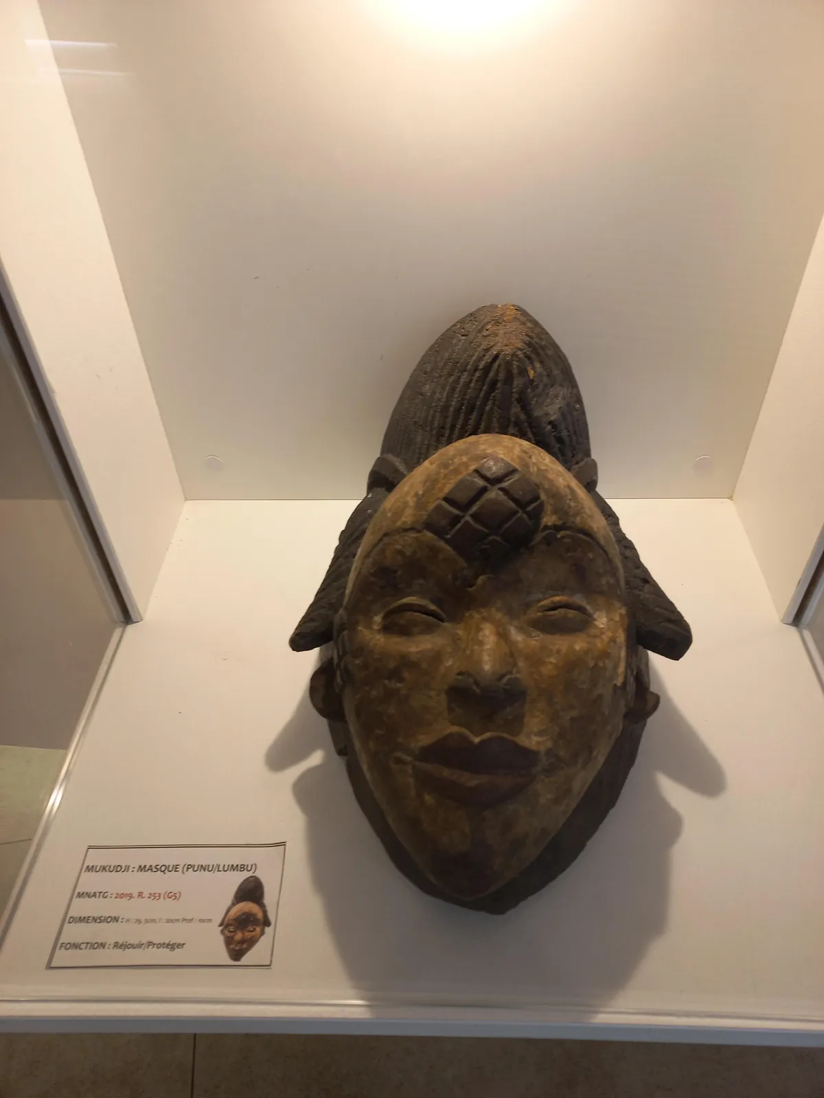 Pics from my two trips to Gabon in central Africa (Aug 2024&amp;2025)