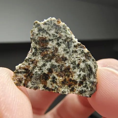 I'm holding a meteorite slice that's older than Earth itself