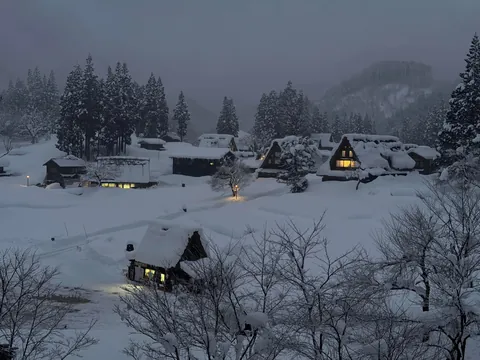 Japan, you were amazing!