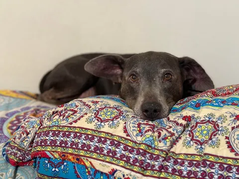 My momma says that I’m the babiest of all the baby boys.