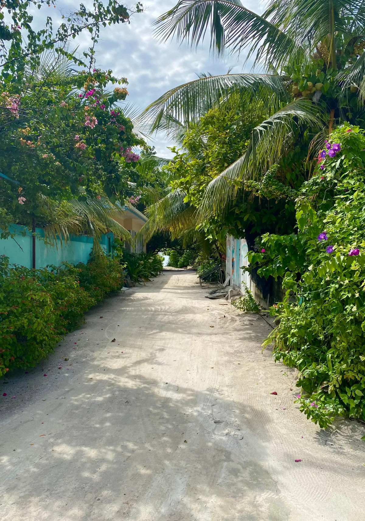 Spent a couple of days on a local Maldivian island and loved every second of it.