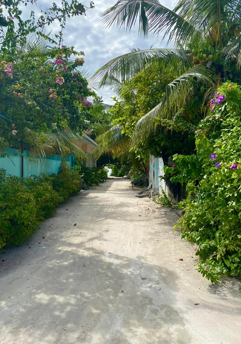 Spent a couple of days on a local Maldivian island and loved every second of it.