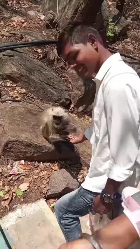 Monkey thought he was flirting with his girl