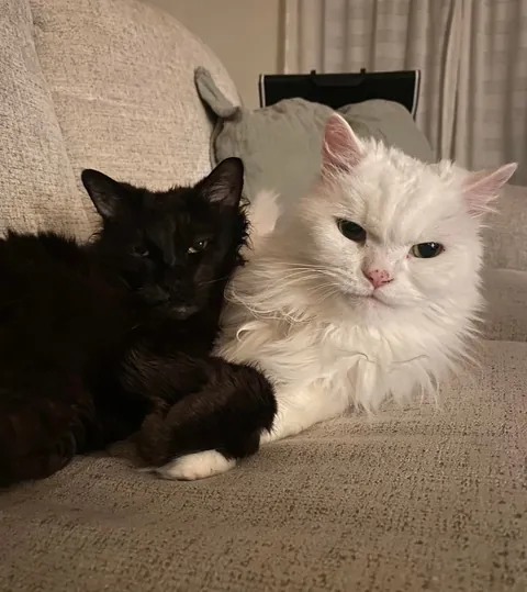 My Void with his Cloud 