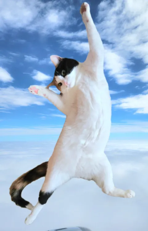 Introducing Baby Jessica