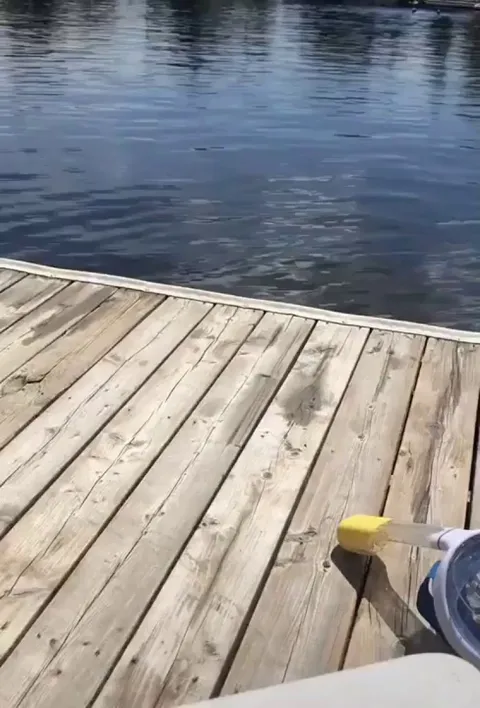 Nice day at the lake