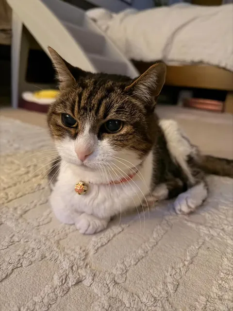 My Best Friend Sarah