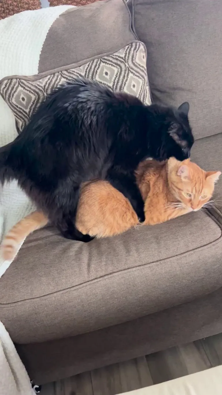 What the heck is going on here?