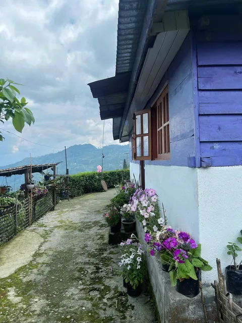 Scenes from my travels across India 🇮🇳