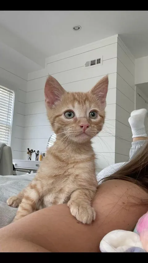 Help me name my best friend