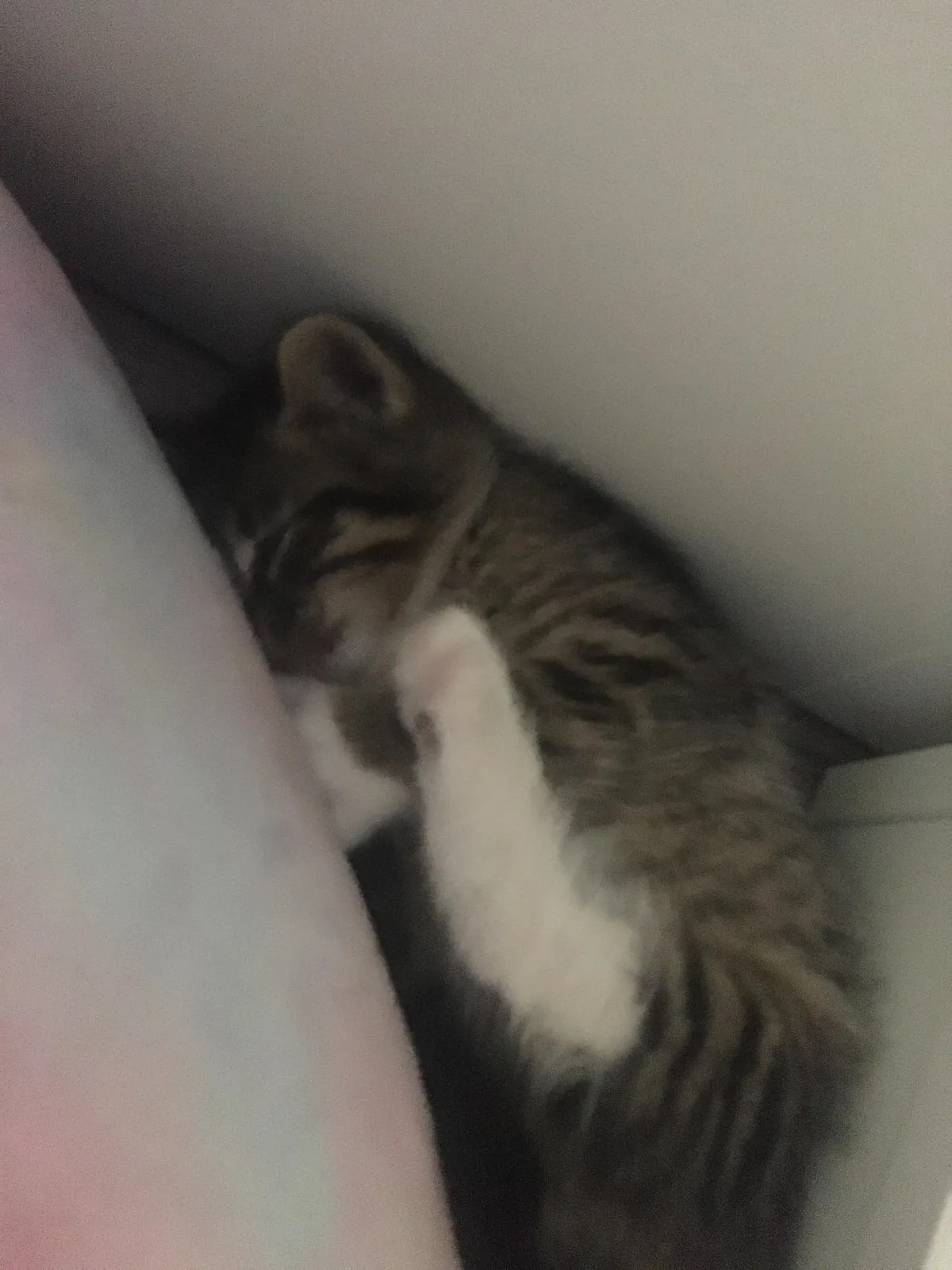 I’m 15, my 17 year old sister just died.