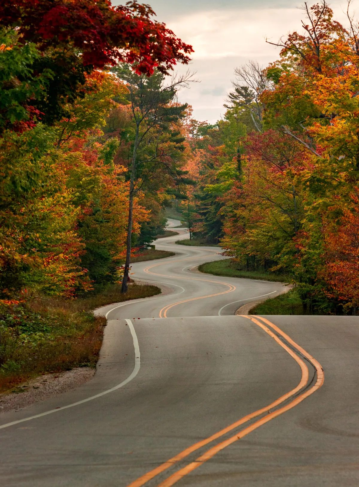 Winding Road in the Fall