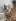 The 4th cat I didn’t know I needed.