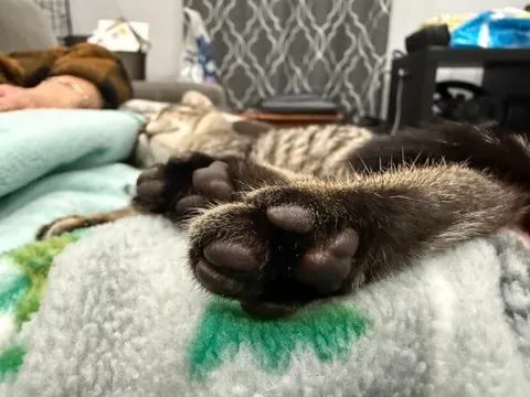 I’m not sure my wife could have been any happier. All 5 found a spot.