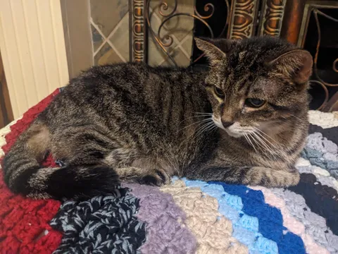 Happy 25th Birthday, Kip!