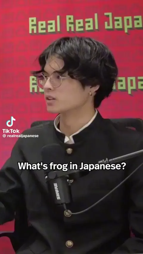 The Japanese language sounds very difficult to learn