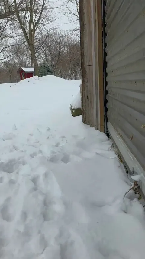 Welp, we're not going outside today guys