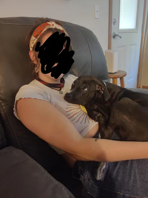 The way my dog looks at my girlfriend. 🥺