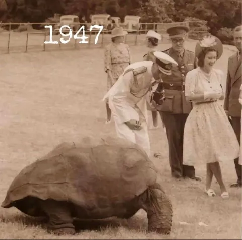 🔥 Jonathan the Tortoise is the oldest living land animal in the world.