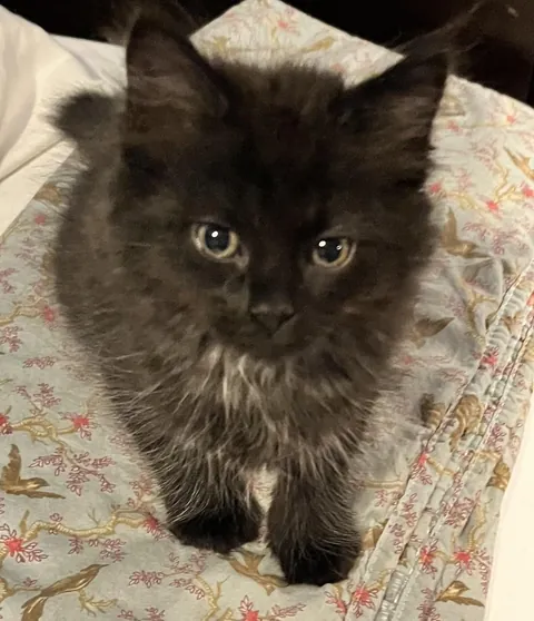 Happy 1st Birthday Lucky!