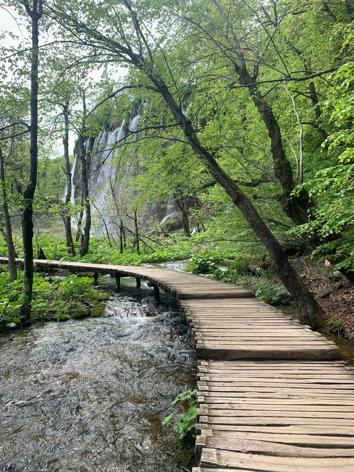 The most beautiful place for me! A guide to📍Plitvice Lakes National Park, Croatia 🇭🇷