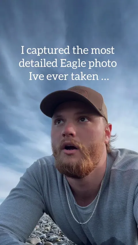 🔥Super sharp photos of bald eagle