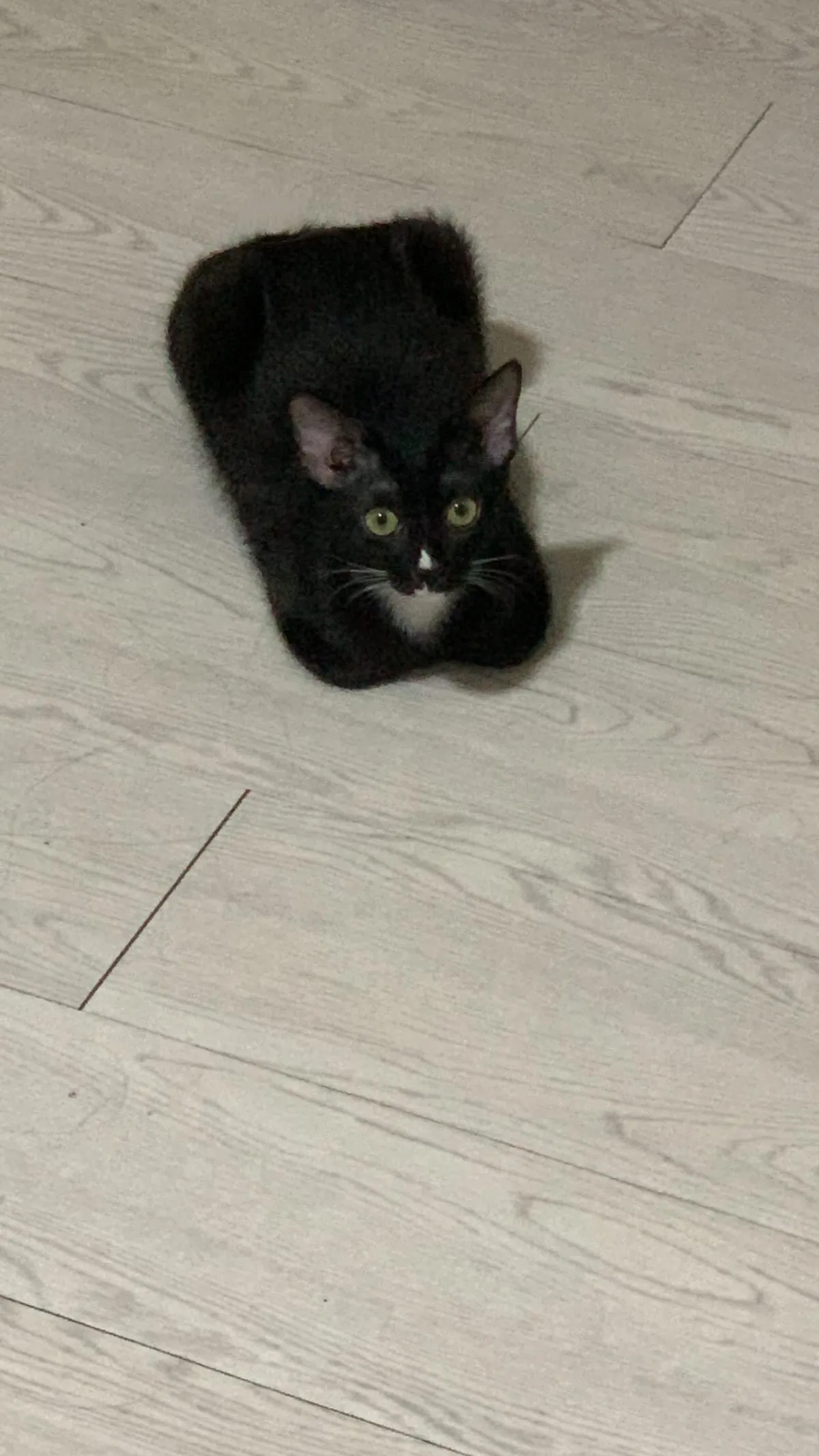 why is she so square