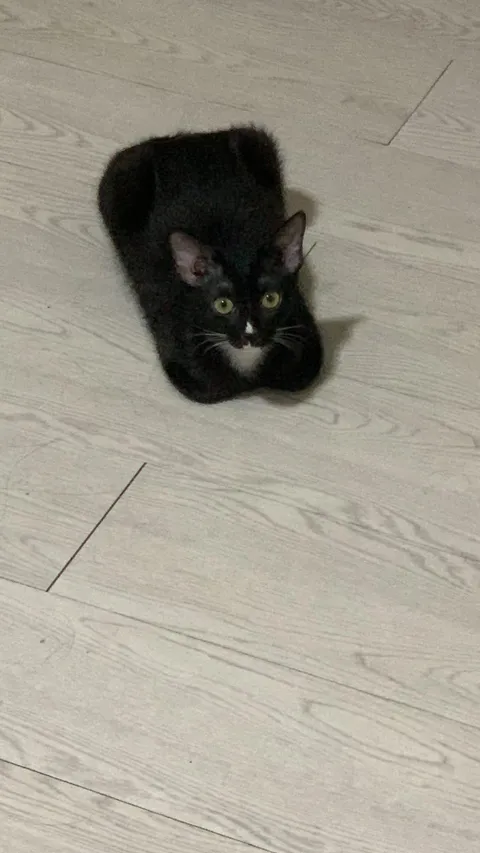 why is she so square