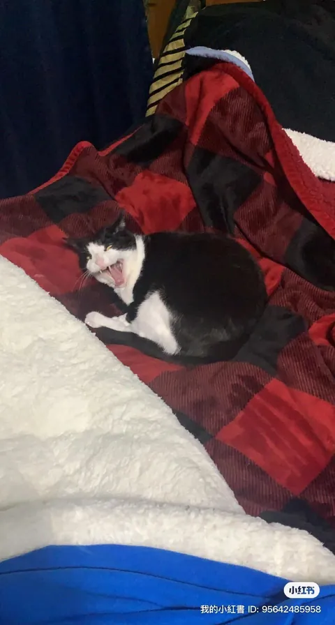 she was my best friend for 16 years…